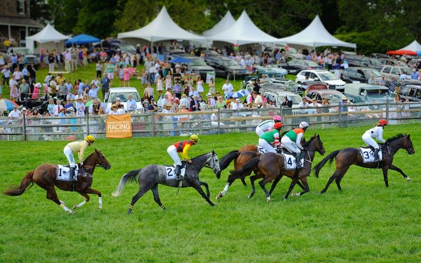horses racing