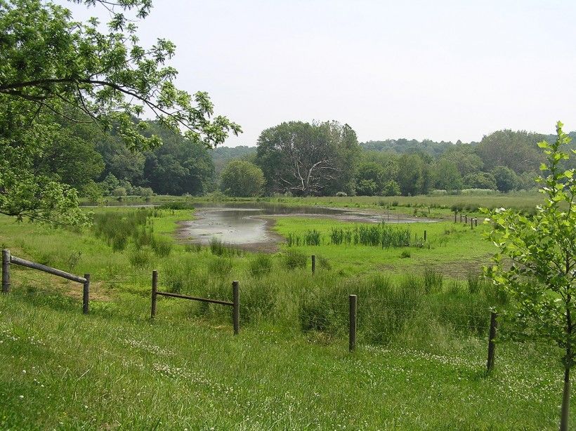 pond fencing
