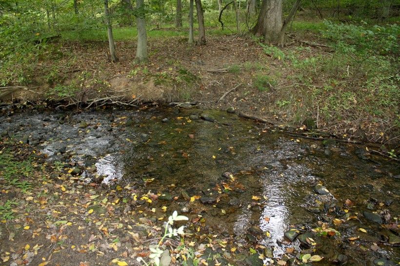 stream crossing