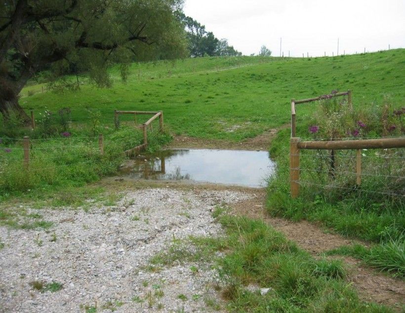 stream crossing