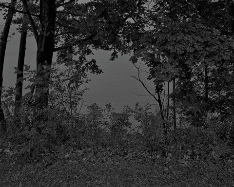 Dark photo of trees and a lake 
