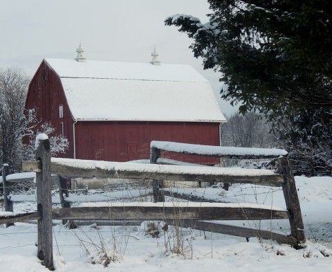 farm in snow