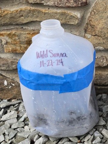 Photo credit: Melissa Reckner photo of an empty milk jug used to sow seeds labeled with the plant name and date