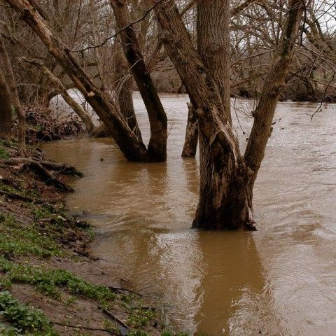 flood
