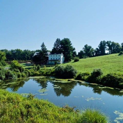 Pond at Kuerner Farm