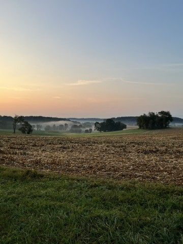 Rolling hills with a sunset in the background