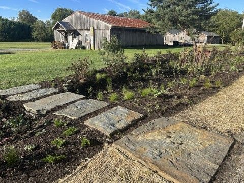 Lush green garden with barn in the background