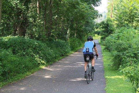 person riding a bike on a paved bike trail, surrounded by lush green trees