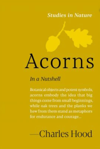 Bright yellow illustrated book cover