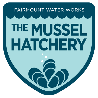 Fairmount Water Works is researching the life cycles of different mussel species and working towards reintroducing them in the wild.