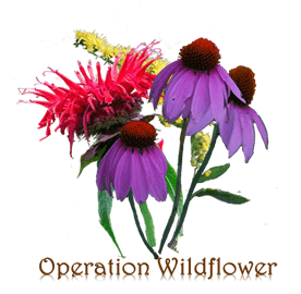 operation wildflower logo