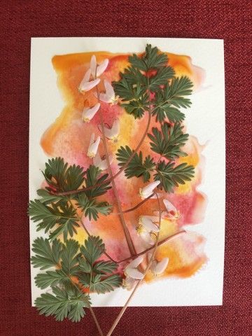 watercolor print