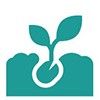 Green plant in the ground icon