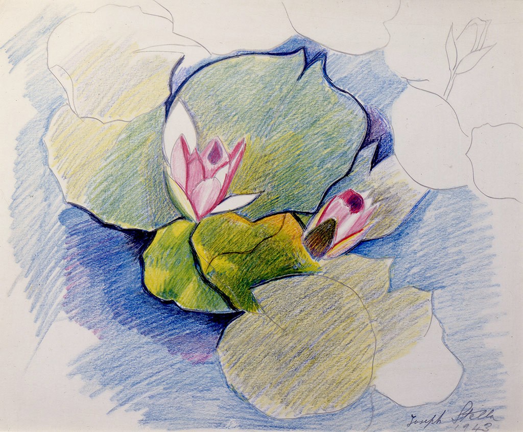 Joseph Stella, Two Pink Waterlilies, 1943. Silverpoint and crayon on paper, 11 x 11 ½ in. Collection of B. Dirr