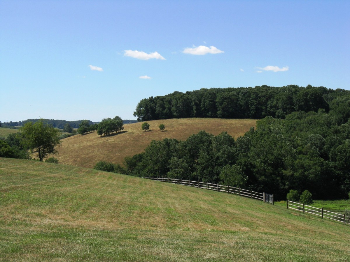 King Ranch landscape