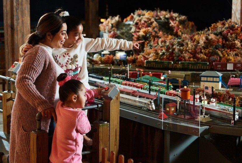Family looking at train set