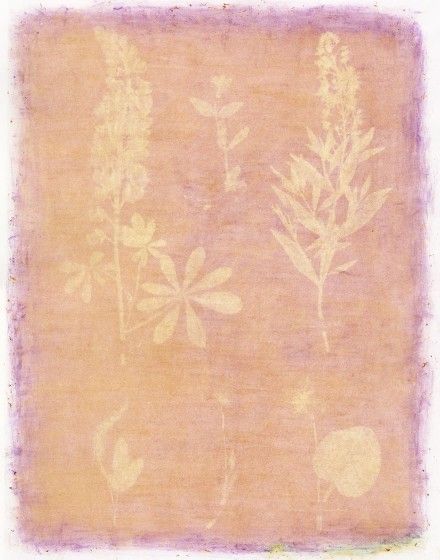 This Earthen Door: Nature as Muse and Material | Brandywine
