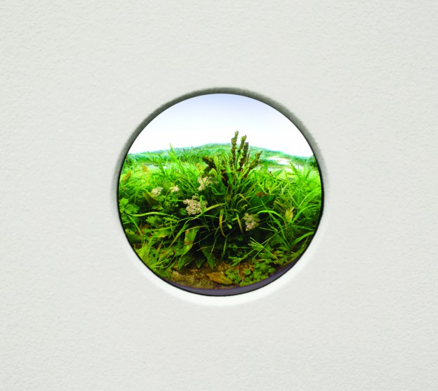 Patrick Jacobs, Weed Study, 2017, Styrene, acrylic, cast neoprene, paper, polyurethane foam, ash, talc, starch, acrylic, vinyl film, wood, steel, lighting, BK7 glass. Diorama viewed through 2 3/4 inch window. Interior box; 14 3/4 x 11 1/4 x 9 1/4 inches. 