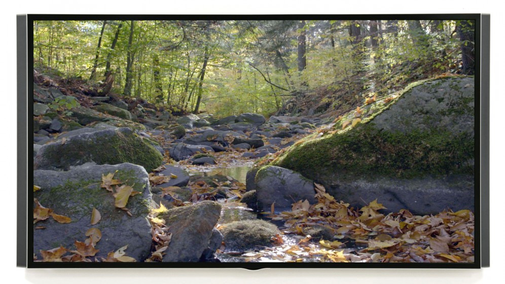 Mark Tribe, Balsam Lake Mountain Wild Forest, Ulster County, New York