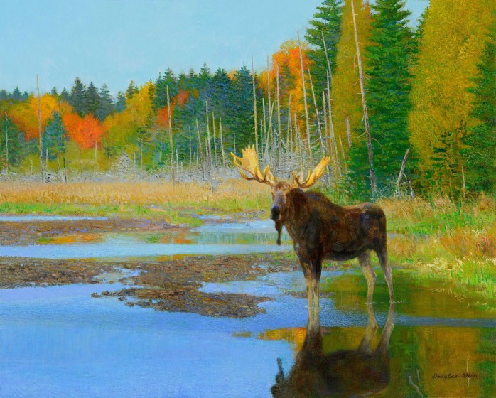 Moose Pond by Douglas Allen