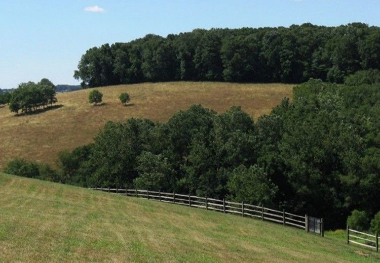 landscape with green rolling hills