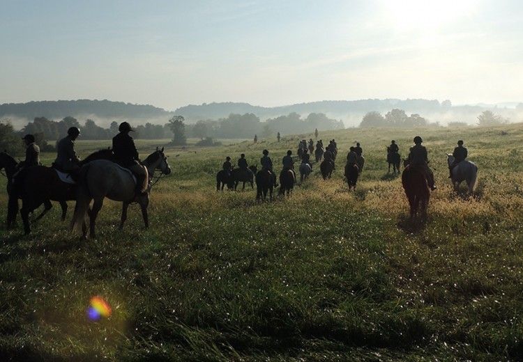 fox hunters in misty meadow