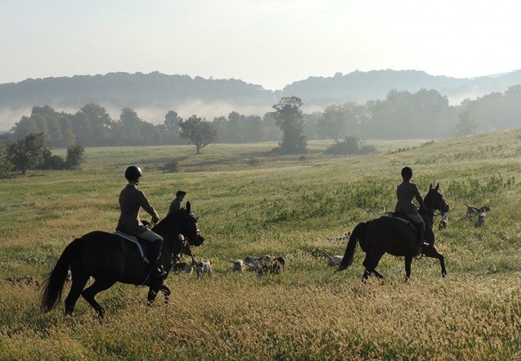 fox hunters in misty meadow