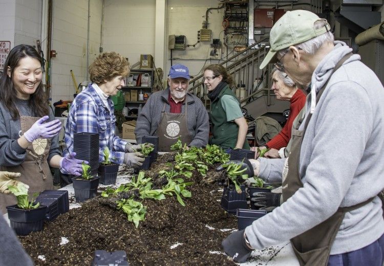 A group of garden volunteers gathered around a table with soil and plants