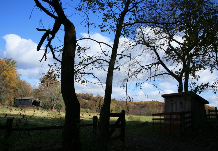 Laurels Preserve Vista With Covered Bridge in Background