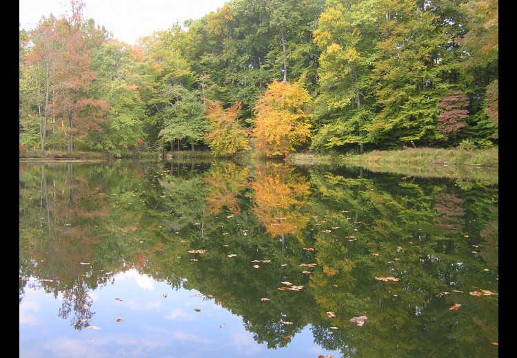 Waterloo Mills Pond in Fall