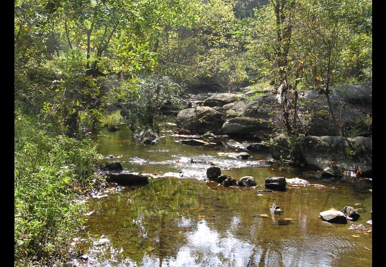 Waterloo Mills Water