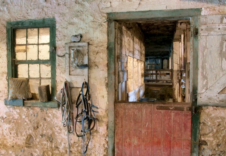 Stall at Kuerner Farm