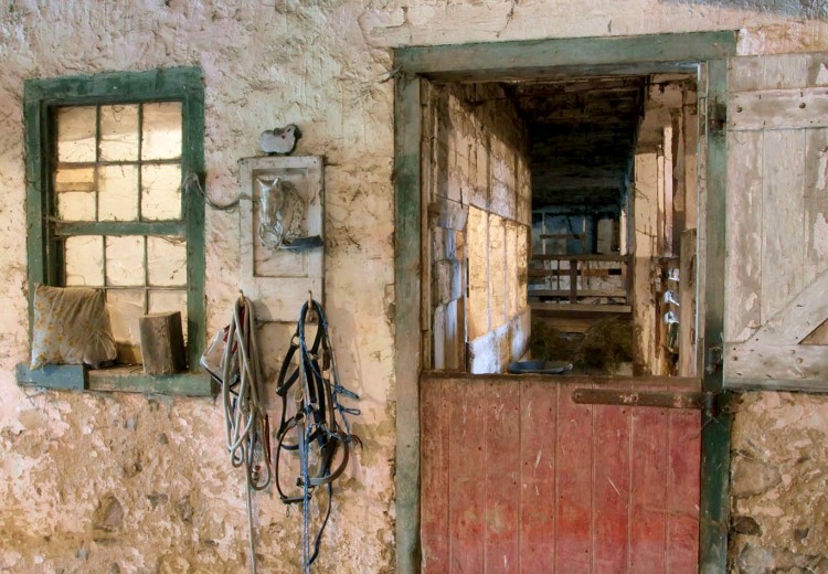 Stall at Kuerner Farm