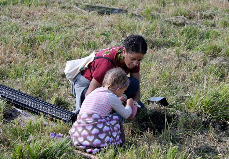 Volunteers planting trees